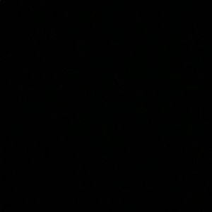 Meet your Posher, Benny